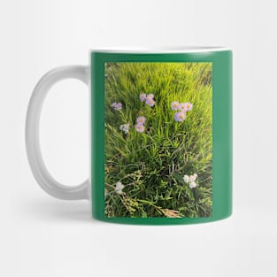 Mountain daisies Mug